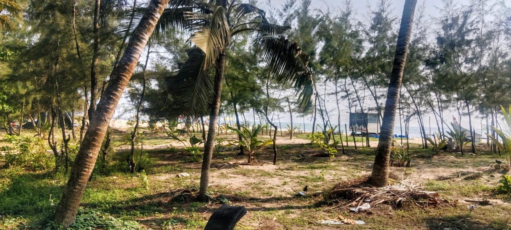 Marrari Felix Home Alappuzha Exteriör bild